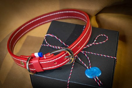 Mastie - Artisanat Français - Collier en cuir pour chiens