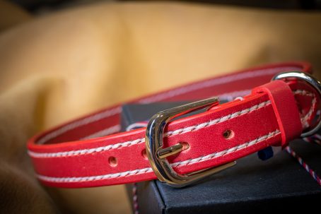 Mastie - Artisanat Français - Collier en cuir pour chiens